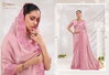 Desi Dream By Rajguru Embroidery Work Saree Wholesale Market In Surat